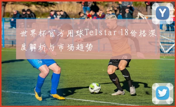 世界杯官方用球Telstar 18价格深度解析与市场趋势
