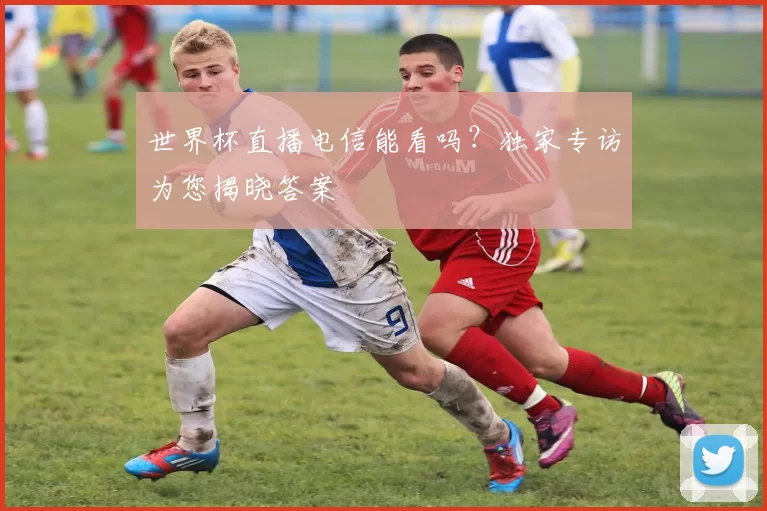 世界杯直播电信能看吗？独家专访为您揭晓答案