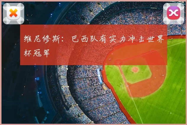维尼修斯:巴西队有实力冲击世界杯冠军