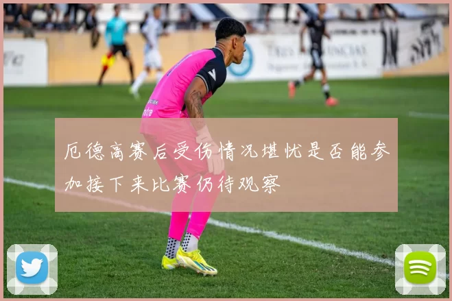 厄德高赛后受伤情况堪忧是否能参加接下来比赛仍待观察
