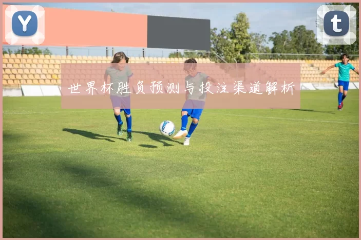 世界杯胜负预测与投注渠道解析