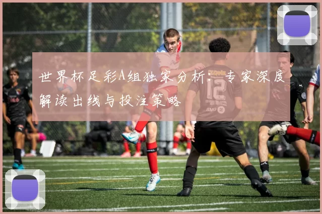 世界杯足彩A组独家分析:专家深度解读出线与投注策略