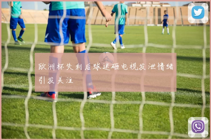 欧洲杯失利后球迷砸电视发泄情绪引发关注
