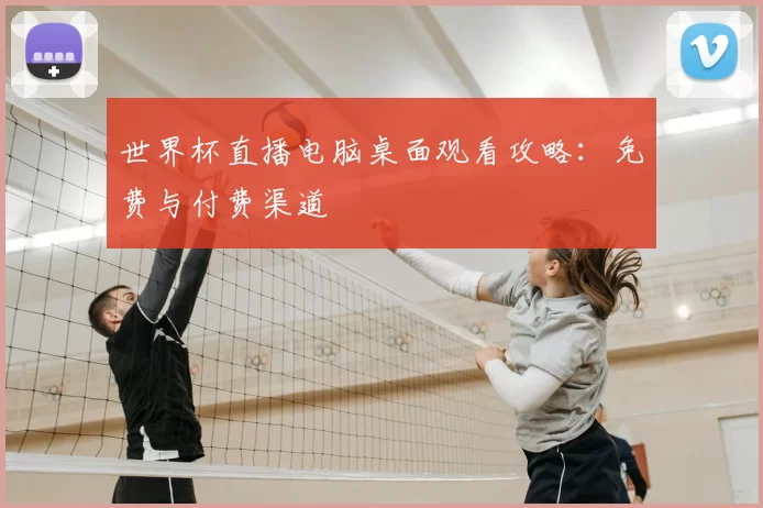 世界杯直播电脑桌面观看攻略:免费与付费渠道
