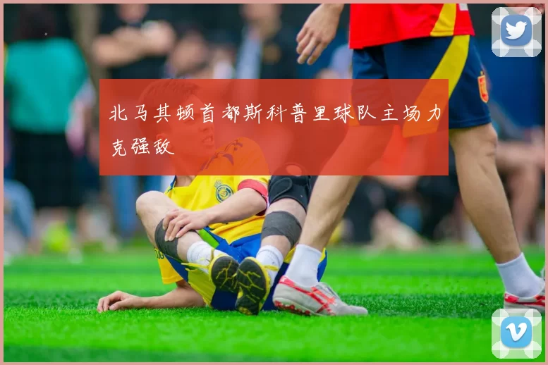 北马其顿首都斯科普里球队主场力克强敌