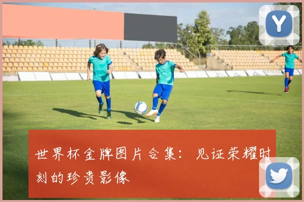 世界杯金牌图片合集：见证荣耀时刻的珍贵影像
