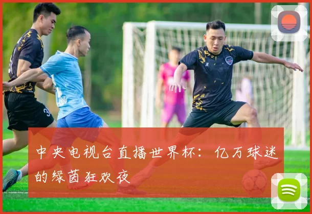 中央电视台直播世界杯：亿万球迷的绿茵狂欢夜