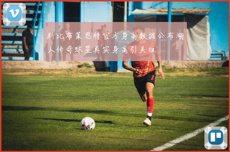 科比布莱恩特官方身高数据公布湖人传奇球星真实身高引关注