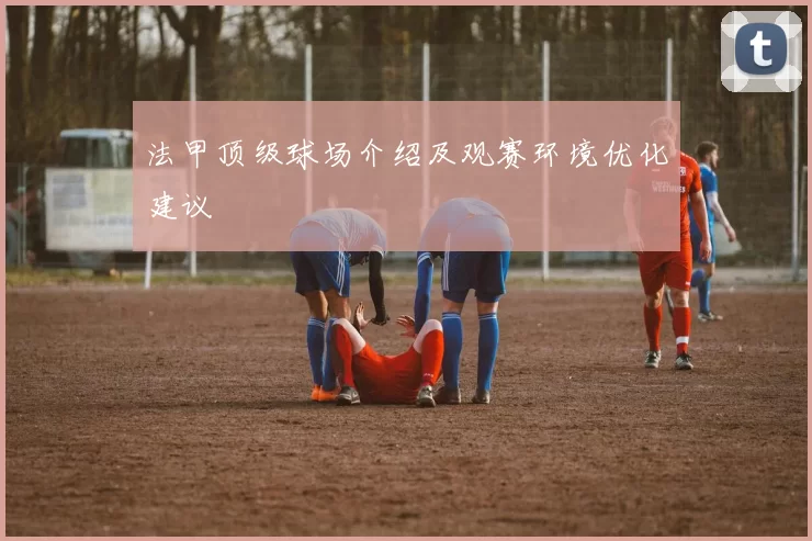 法甲顶级球场介绍及观赛环境优化建议