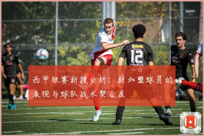 西甲联赛新援分析：新加盟球员的表现与球队战术契合度