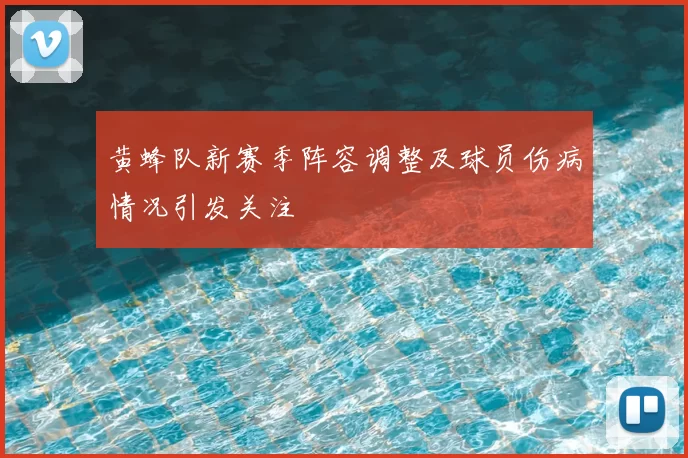 黄蜂队新赛季阵容调整及球员伤病情况引发关注