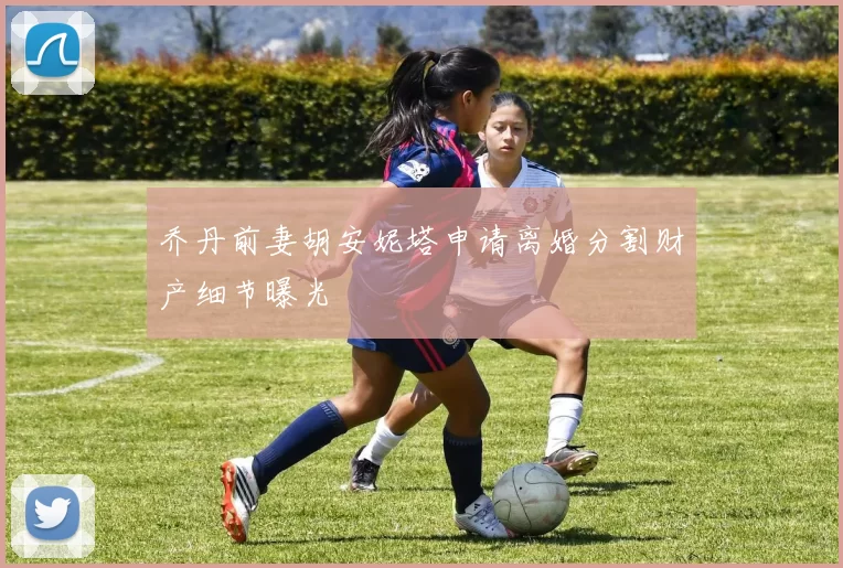乔丹前妻胡安妮塔申请离婚分割财产细节曝光