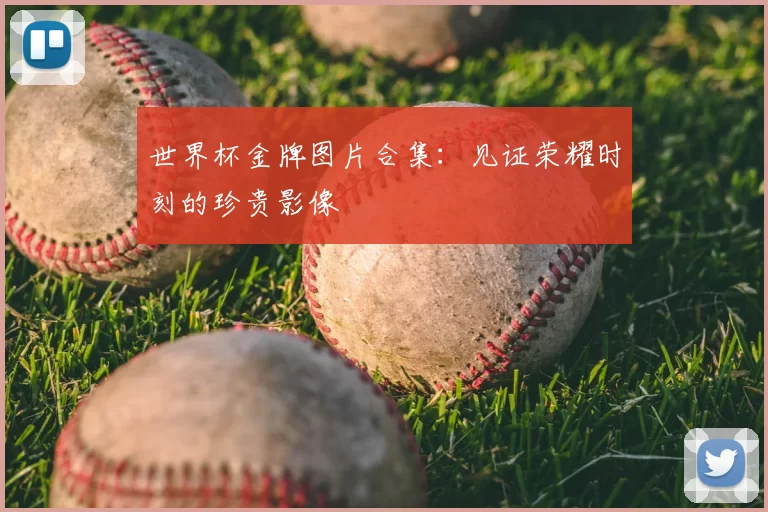 世界杯金牌图片合集：见证荣耀时刻的珍贵影像