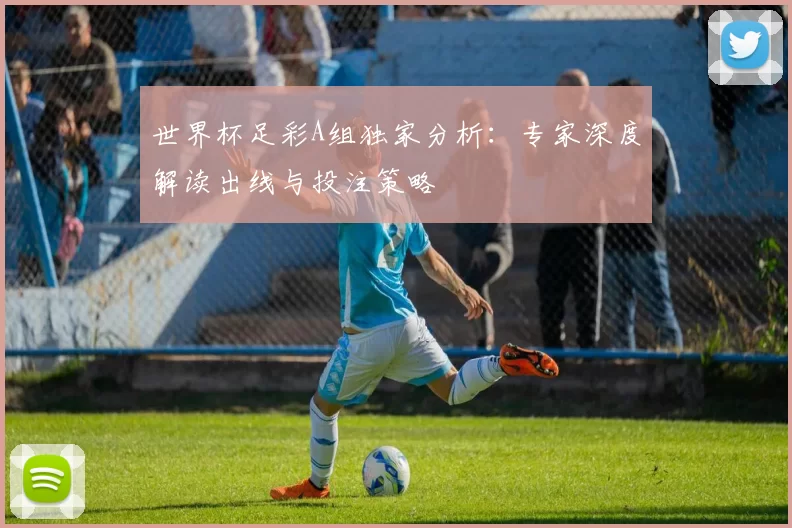 世界杯足彩A组独家分析：专家深度解读出线与投注策略